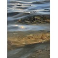 Original Oil Painting on Canvas