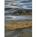 Original Oil Painting on Canvas
