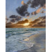 Original oil painting
